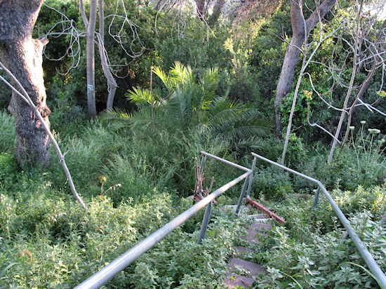 שביל חיפה מקטע 11